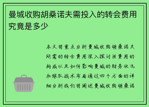 曼城收购胡桑诺夫需投入的转会费用究竟是多少